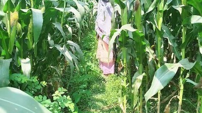 சோலை காட்டில் உஷார் செய்த ஆன்டியை ஓத்தேன்